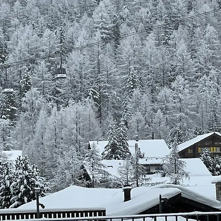Berghof * 萨斯费